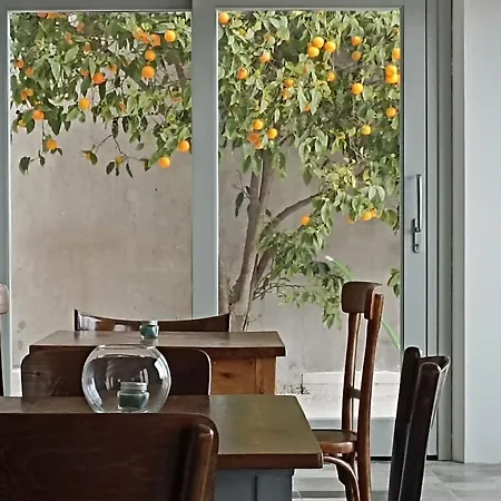 Monte Forru 홈스테이 *