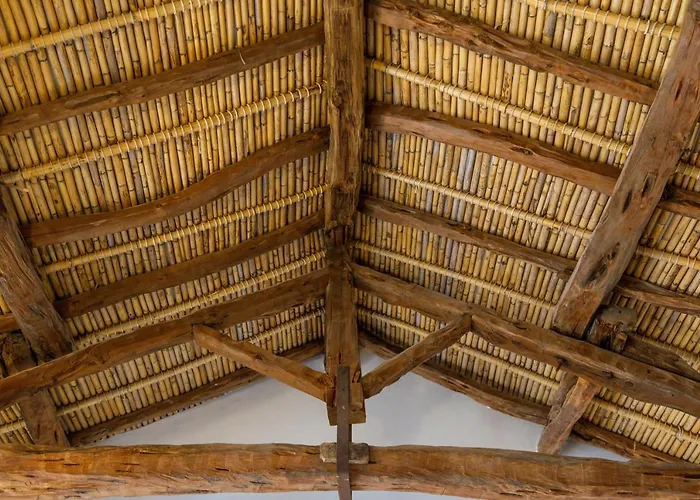 Monte Forru Homestay szállás